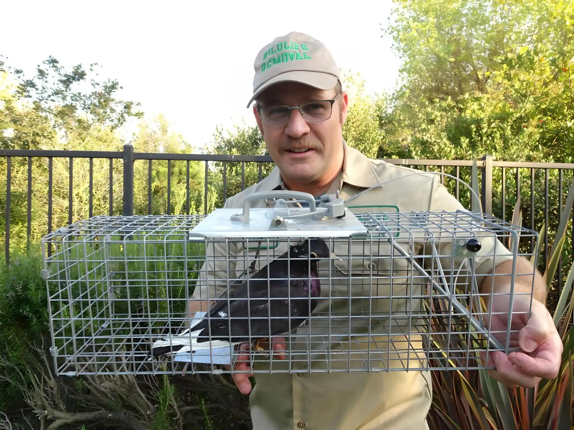 Nuisance Wildlife Control Alabama Arab