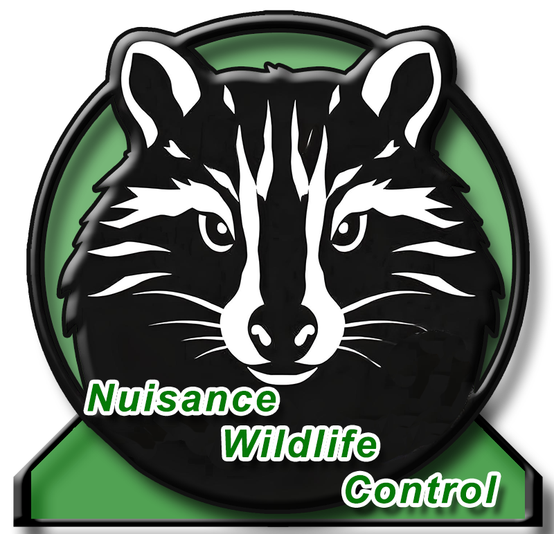 Nuisance Wildlife Control Alabama Arab