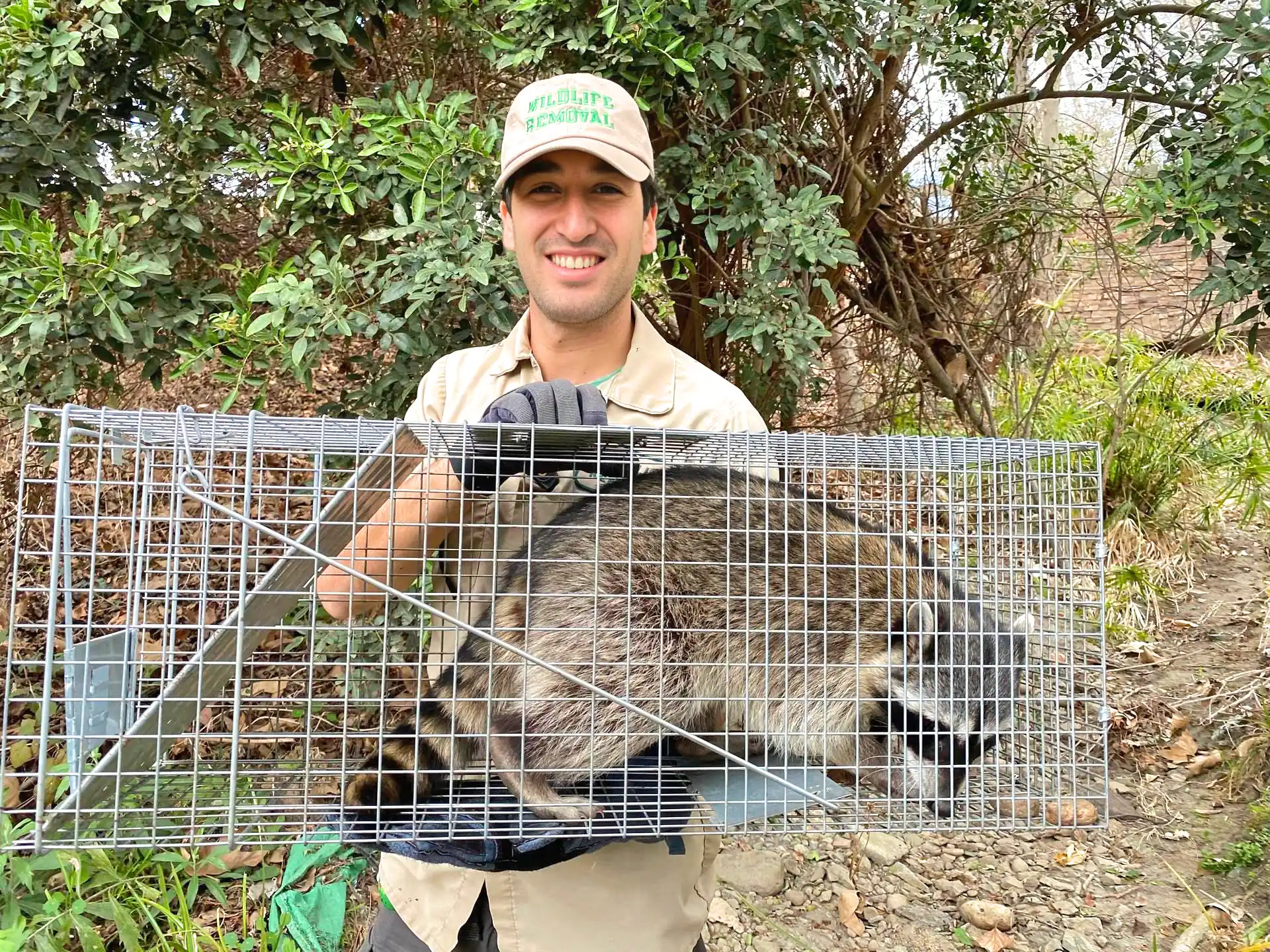 Nuisance Wildlife Control Alabama Arab